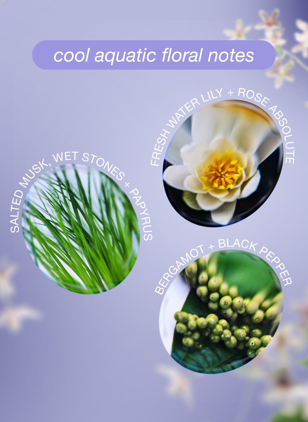 K18 x Future Society Leave-In Molecular Repair Hair Mask